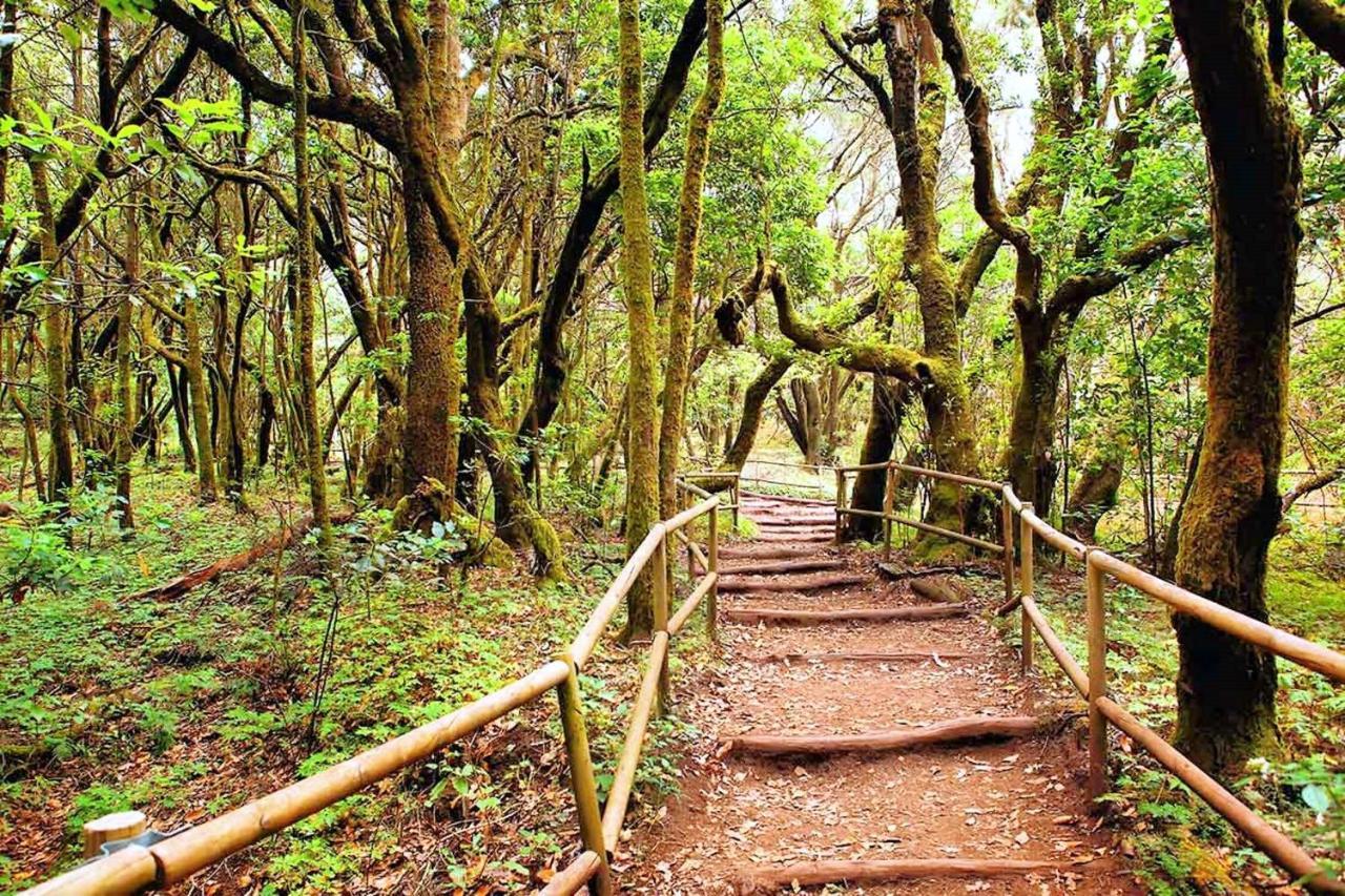Casa Nature