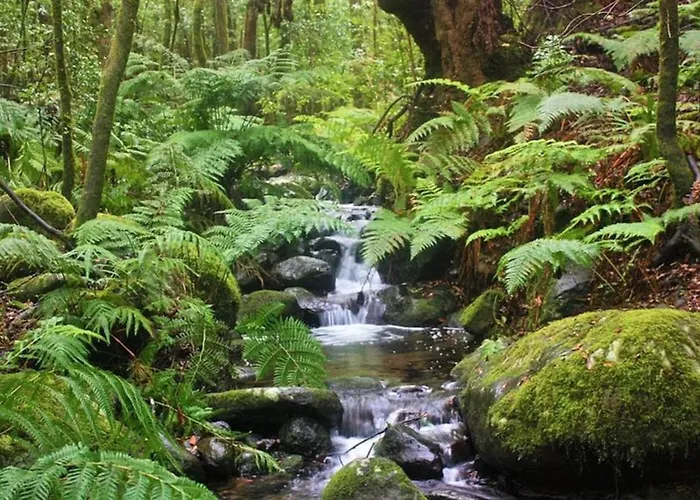 Casa Nature