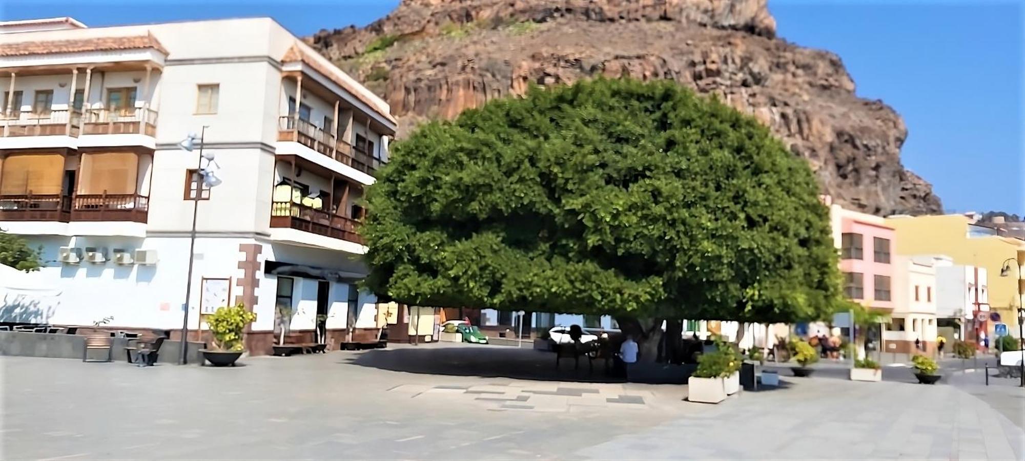 Apartment Casa Nature *